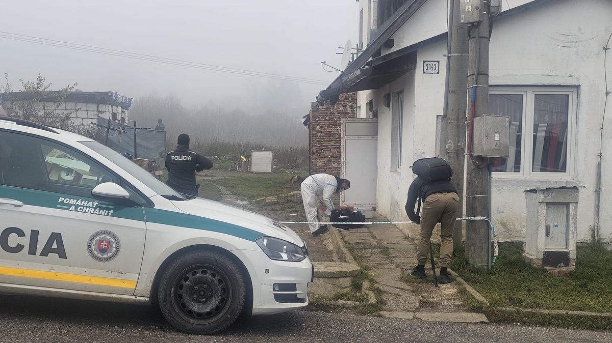 Psychicky narušený muž bodl na Slovensku dvouleté dítě dvakrát nožem do hlavy